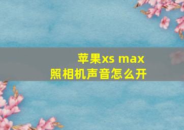 苹果xs max照相机声音怎么开